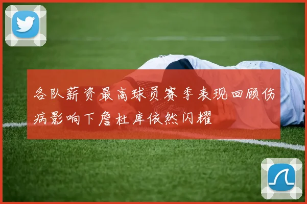各队薪资最高球员赛季表现回顾伤病影响下詹杜库依然闪耀