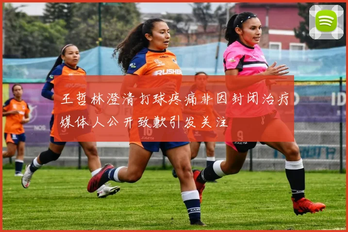 王哲林澄清打球疼痛非因封闭治疗媒体人公开致歉引发关注