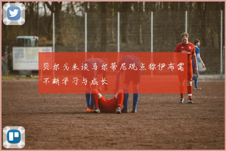 贝尔戈米谈马尔蒂尼观点称伊布需不断学习与成长